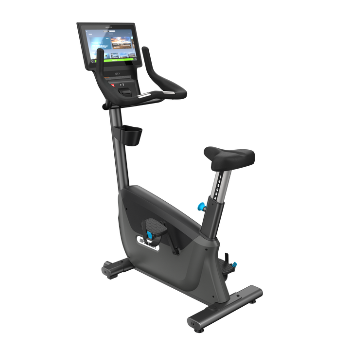 Recumbent Bike Review Schwinn 170 Upright Bike Upright Bike