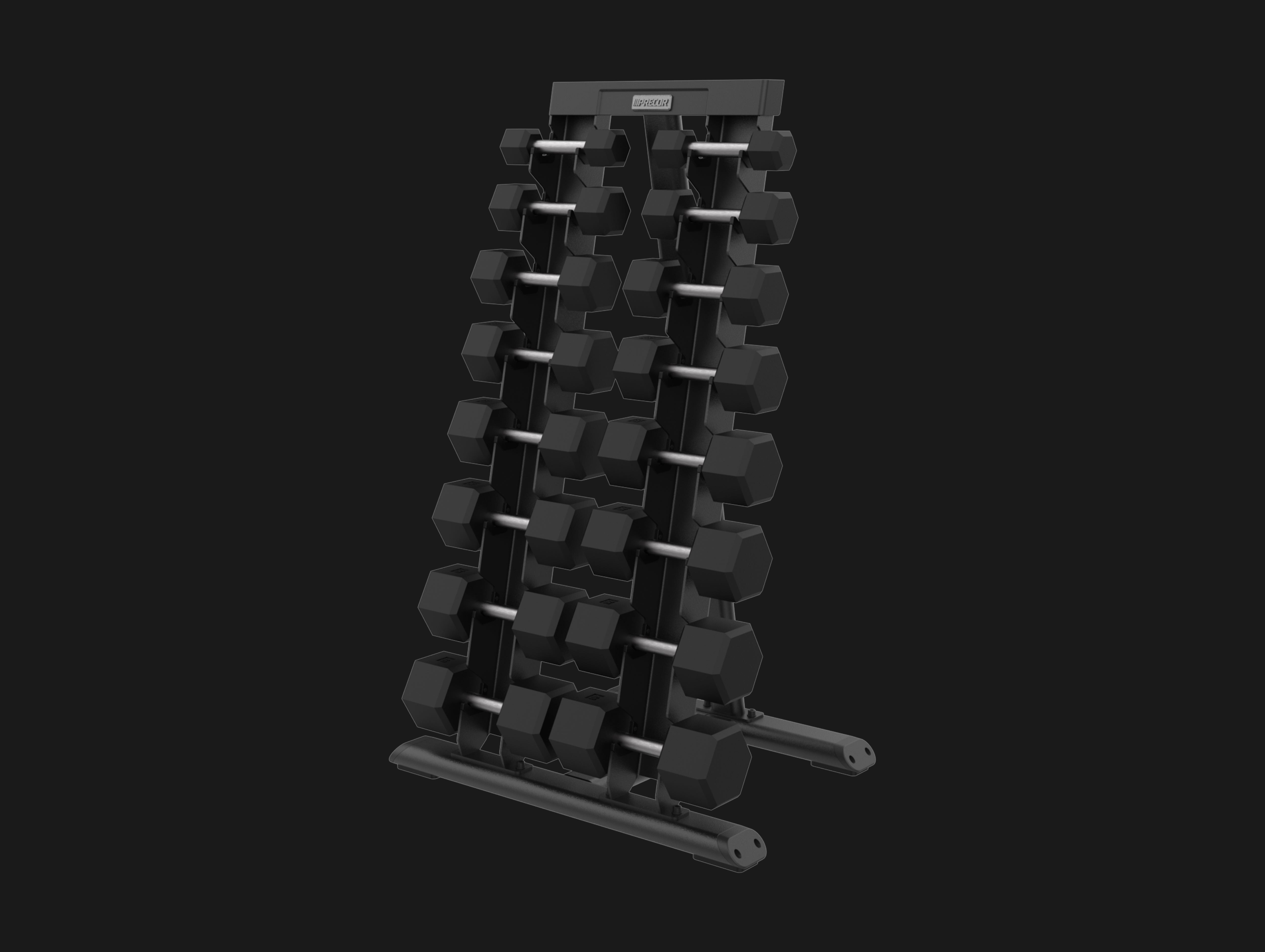 Precor vertical dumbbell rack